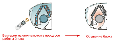 str41_1